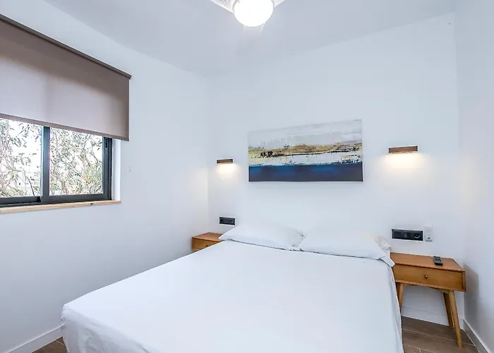 Lea Modern Attic Escape With Peaceful Terrace 圣克鲁斯-德特内里费
